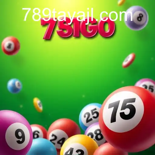 Unveiling the Thrilling World of Bingo Games: An In-Depth Look with 789TAYA